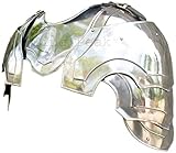 Fine Peak Mittelalter Schulterschutz Schulter mit Hals SCA LARP...